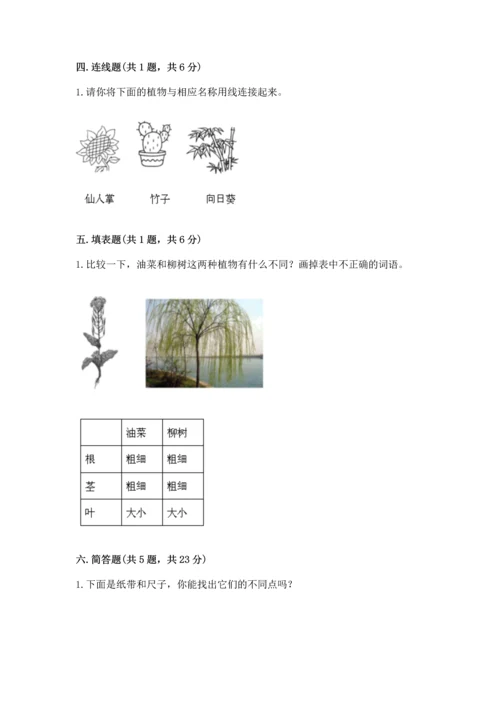 教科版一年级上册科学期末测试卷精品带答案.docx