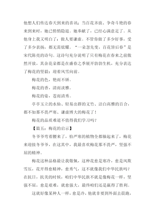 梅花的启示作文300字.docx