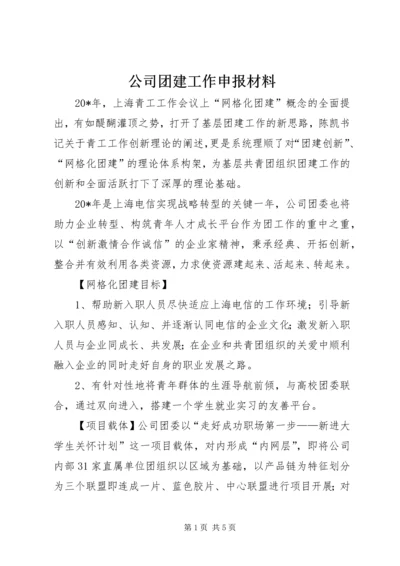 公司团建工作申报材料.docx