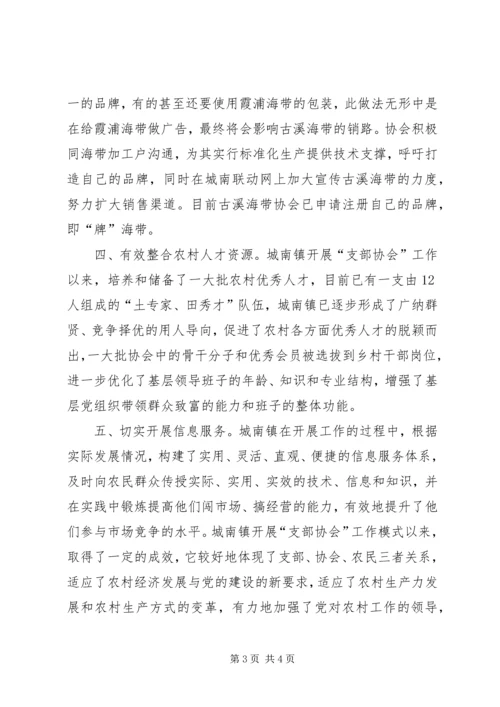 城南镇开展“支部协会”工作情况汇报 (6).docx