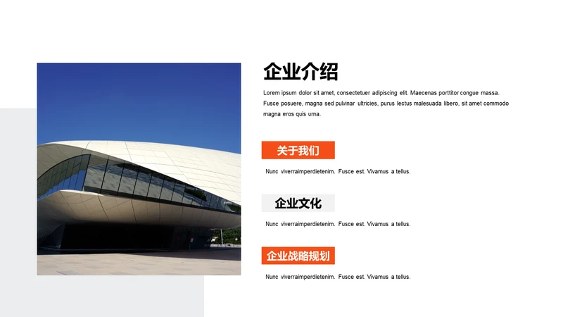 单色扁平3项企业介绍
