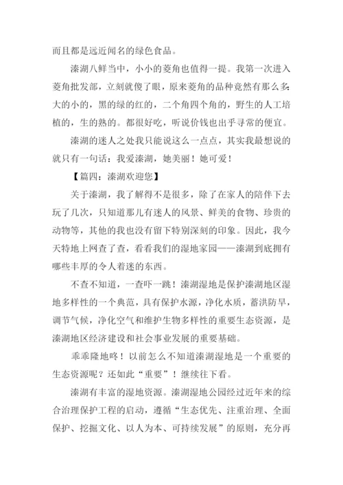关于溱湖的作文-1.docx