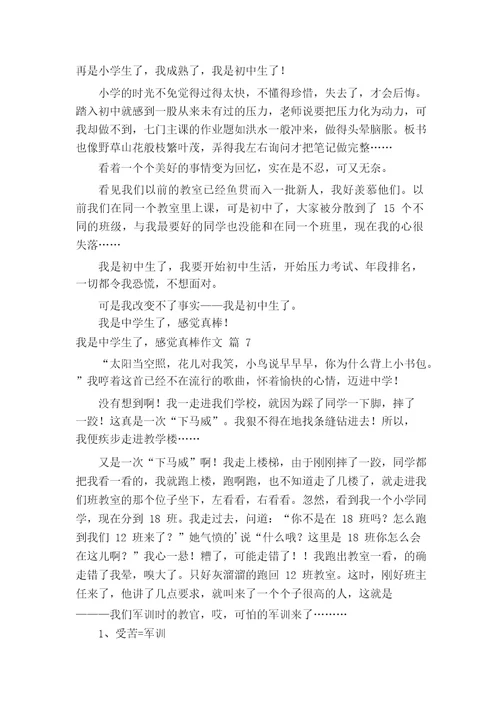我是中学生了,感觉真棒作文