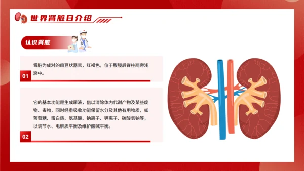 世界肾脏日慢性肾脏病通用PPT模板