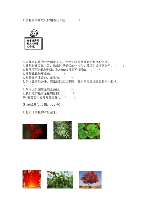 教科版一年级上册科学期末测试卷附答案解析.docx