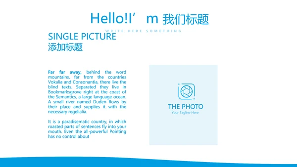 眼科医生进修汇报动态PPT