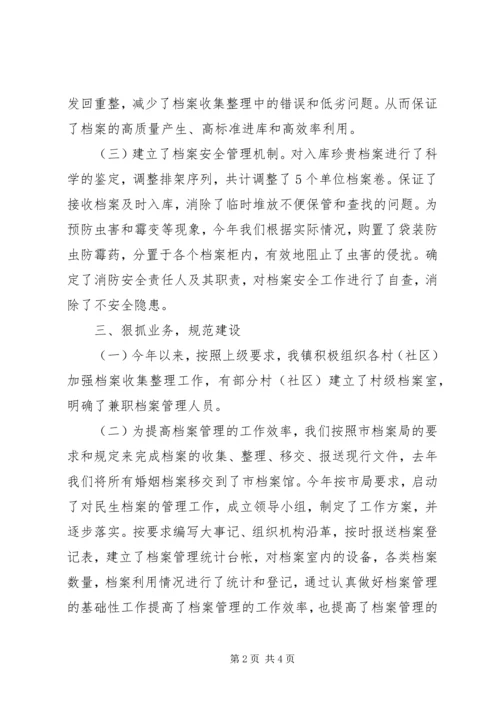 乡镇年度档案工作总结.docx