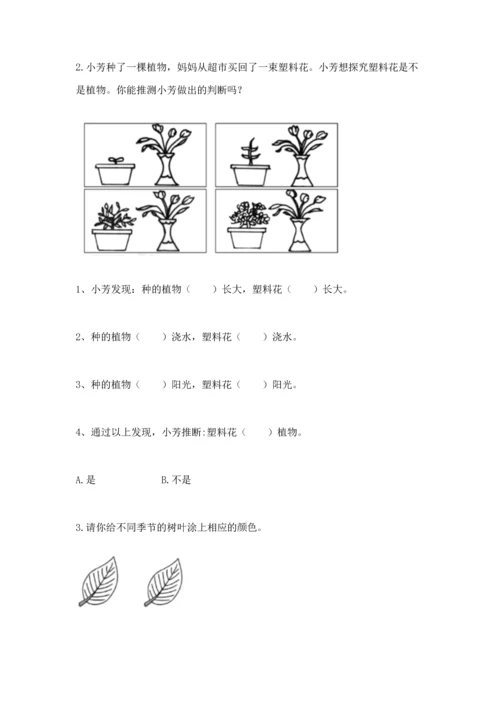 教科版科学一年级上册第一单元《植物》测试卷含答案【模拟题】.docx