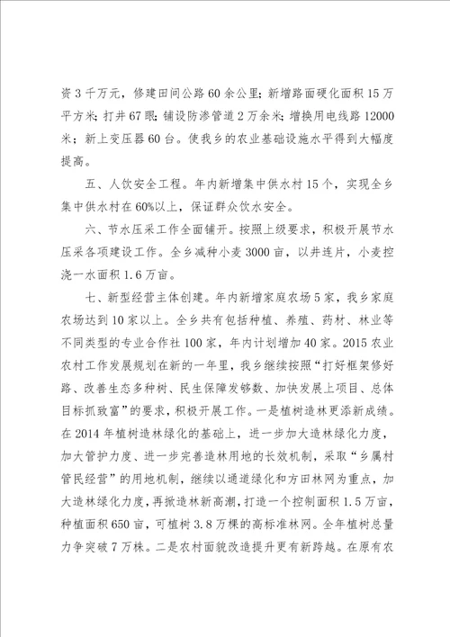 某年乡镇农业农村工作总结及某年规划