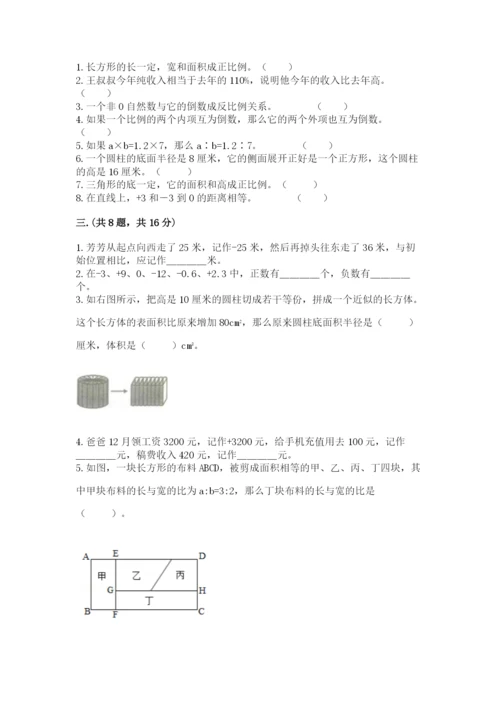 苏教版六年级数学小升初试卷带答案（能力提升）.docx