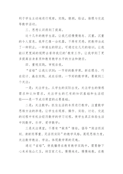 初中数学研修心得体会.docx