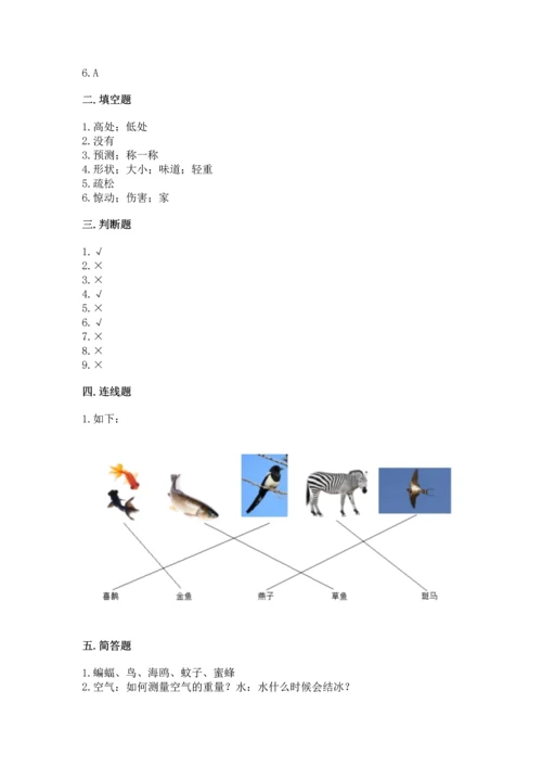 教科版一年级下册科学期末测试卷含答案【培优b卷】.docx