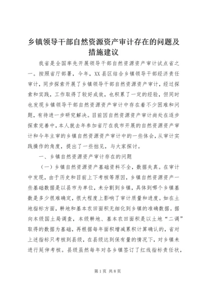 乡镇领导干部自然资源资产审计存在的问题及措施建议.docx