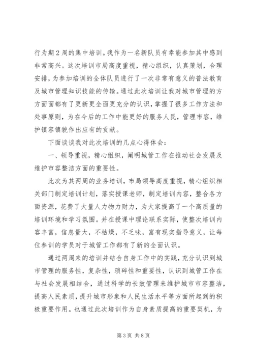 城管培训心得体会 (3).docx