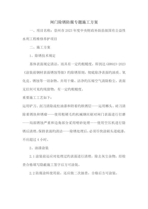 闸门除锈防腐专项施工方案范文.docx