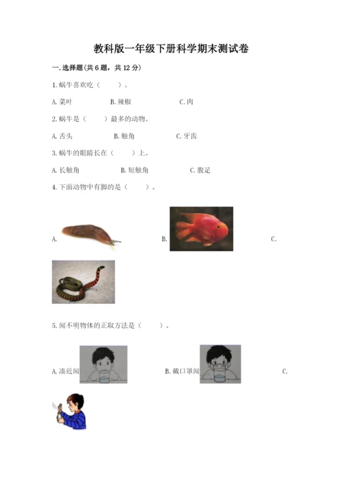 教科版一年级下册科学期末测试卷及参考答案（达标题）.docx
