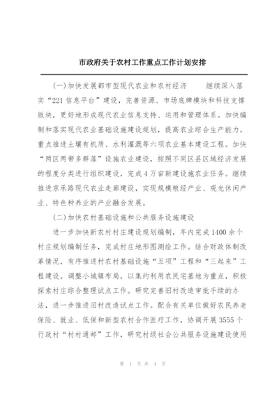 市政府关于农村工作重点工作计划安排.docx