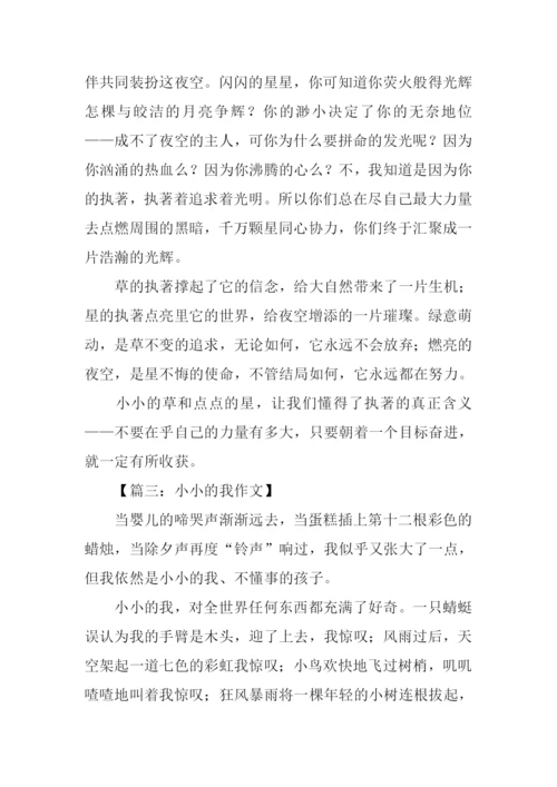 小小的作文0.docx