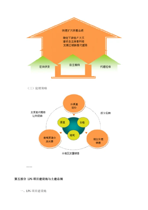 LPG项目可行性研究报告模板.docx