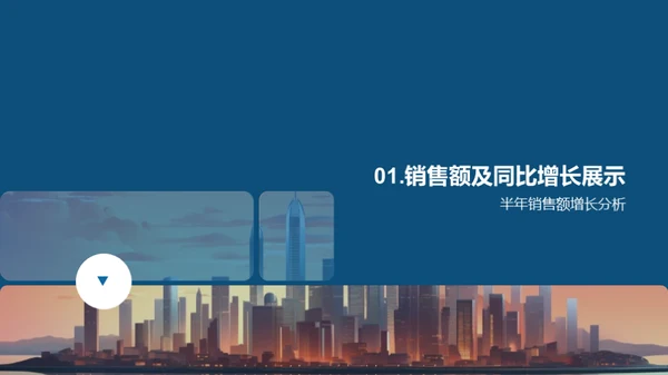 半年业绩回顾与展望