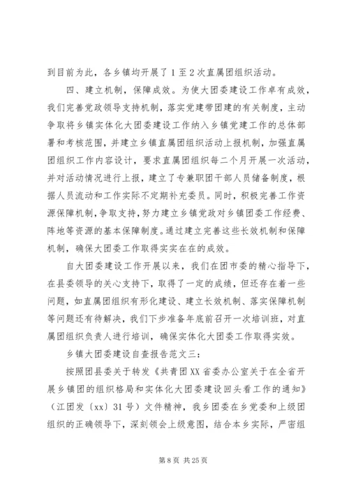 乡镇大团委建设自查报告范文一：.docx