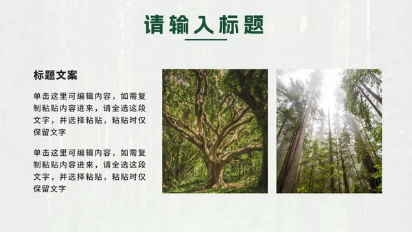绿色实景植树节科普PPT模板