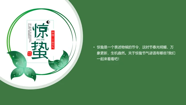 七星瓢虫惊蛰PPT模板