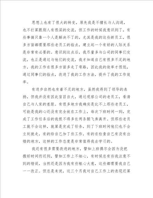 公司新员工试用期工作总结模板工作总结范文