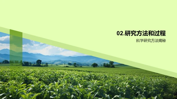 农业生态守护策略