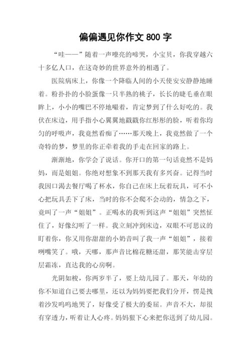 偏偏遇见你作文800字.docx
