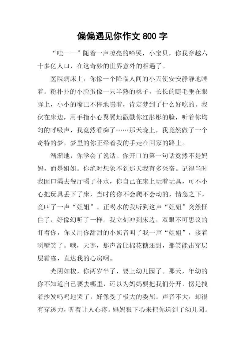 偏偏遇见你作文800字.docx