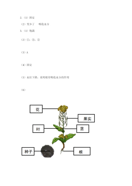 教科版四年级下册科学第一单元《植物的生长变化》测试卷【轻巧夺冠】.docx