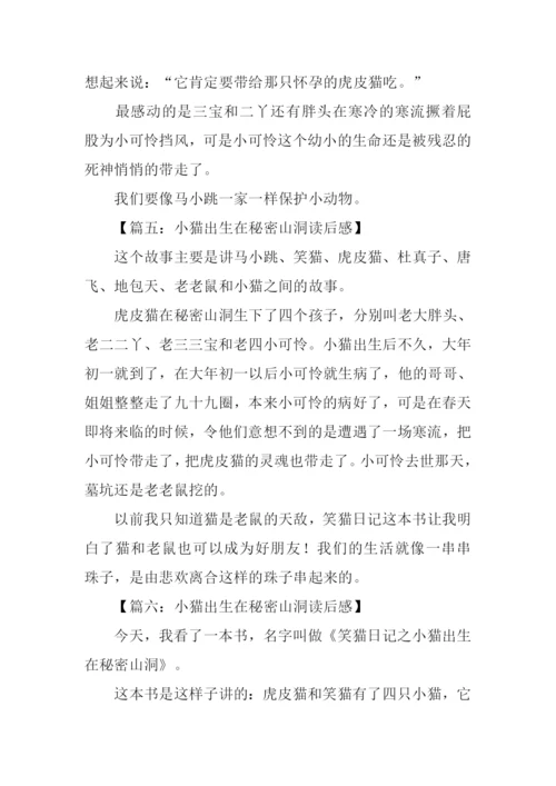 小猫出生在秘密山洞读后感200字.docx