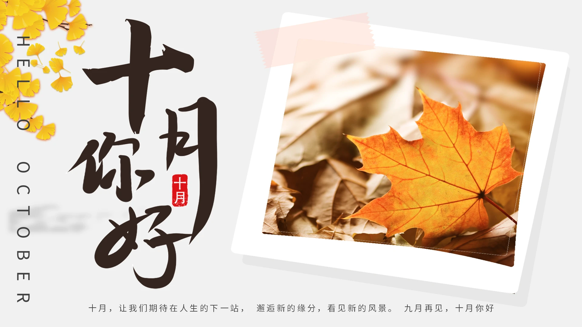 橙色十月你好秋天你好浅色简约清新PPT模板宣传PPT动态PP十月你好节日