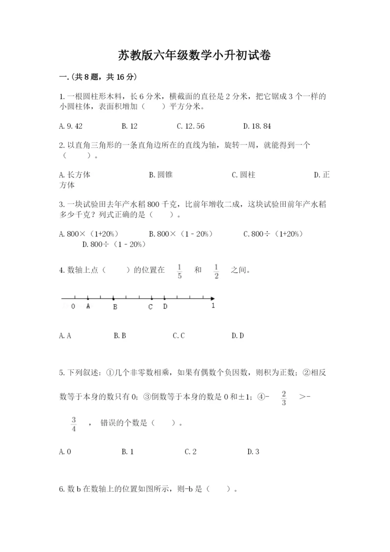 苏教版六年级数学小升初试卷带答案（精练）.docx