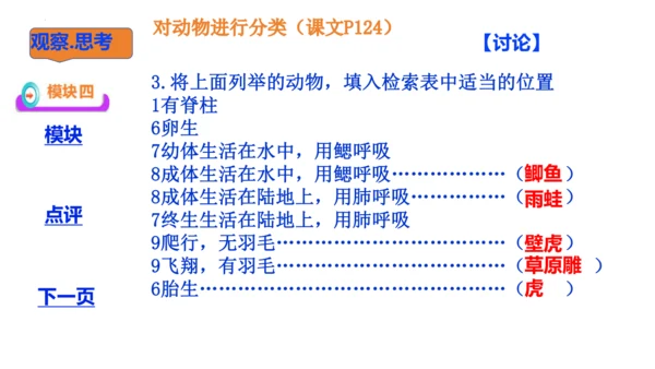 人教版生物七年级上册2.4.1《尝试对生物的分类》（教学课件）(共23张PPT)