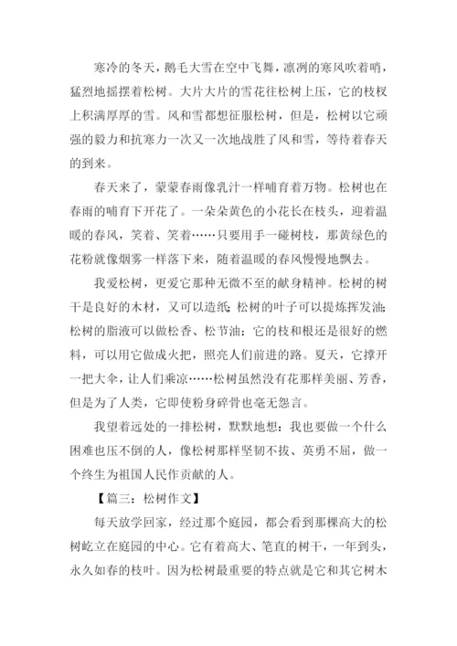 借物喻人的作文600字松树.docx