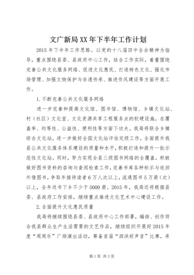 文广新局XX年下半年工作计划 (2).docx