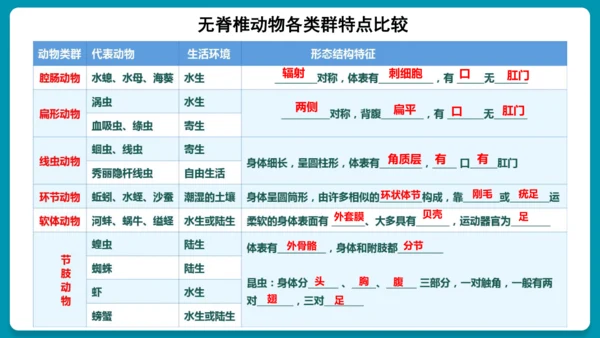 第一章动物的主要类群（复习课件）-八年级生物上册同步教学精制课件（人教版）(共25张PPT)