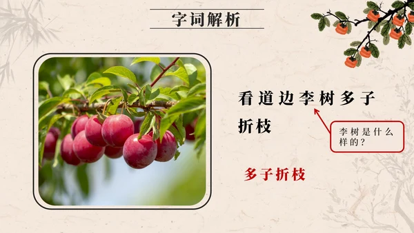部编版四年级上册第二十五课王戎不取道旁李PPT模板