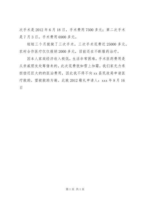 医疗救助申请报告书 (2).docx