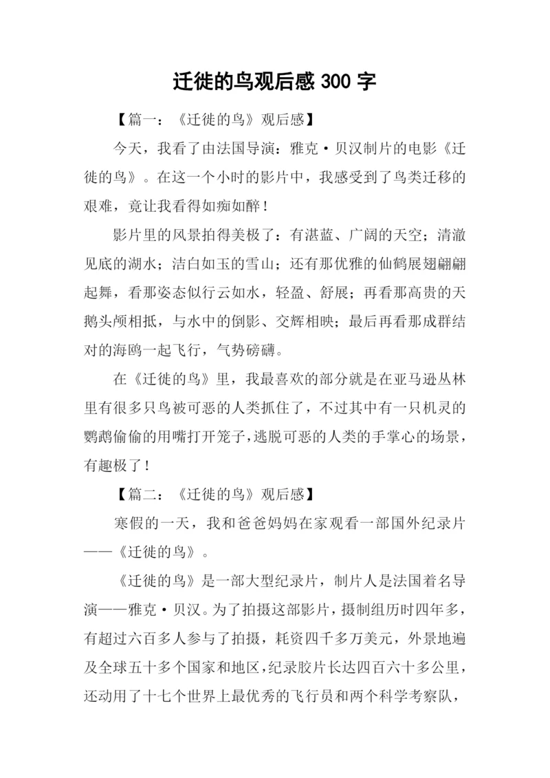 迁徙的鸟观后感300字.docx