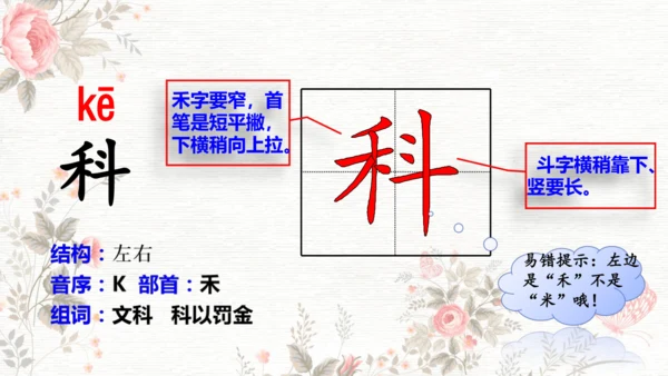 6夜间飞行的秘密  课件