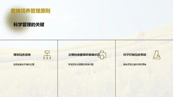 蜜蜂饲养：农业新动力