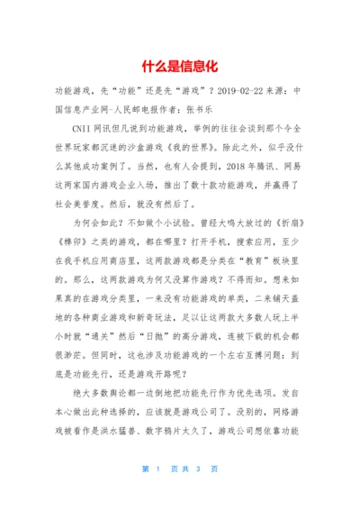 什么是信息化.docx