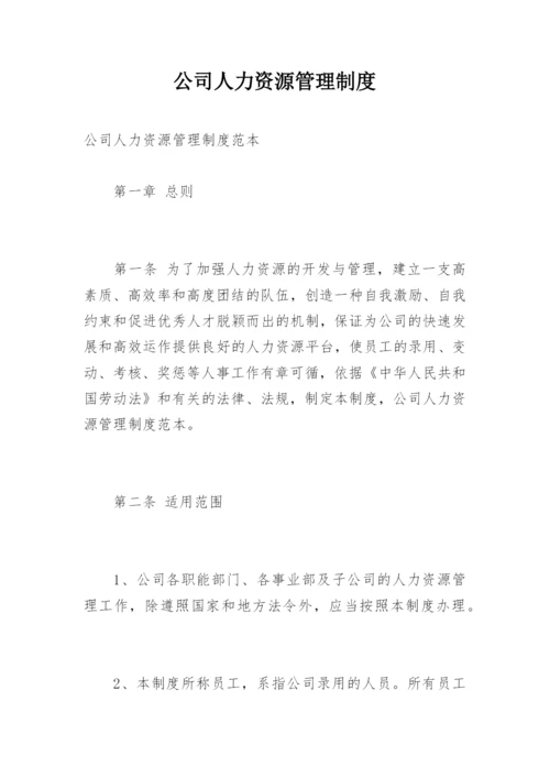 公司人力资源管理制度.docx