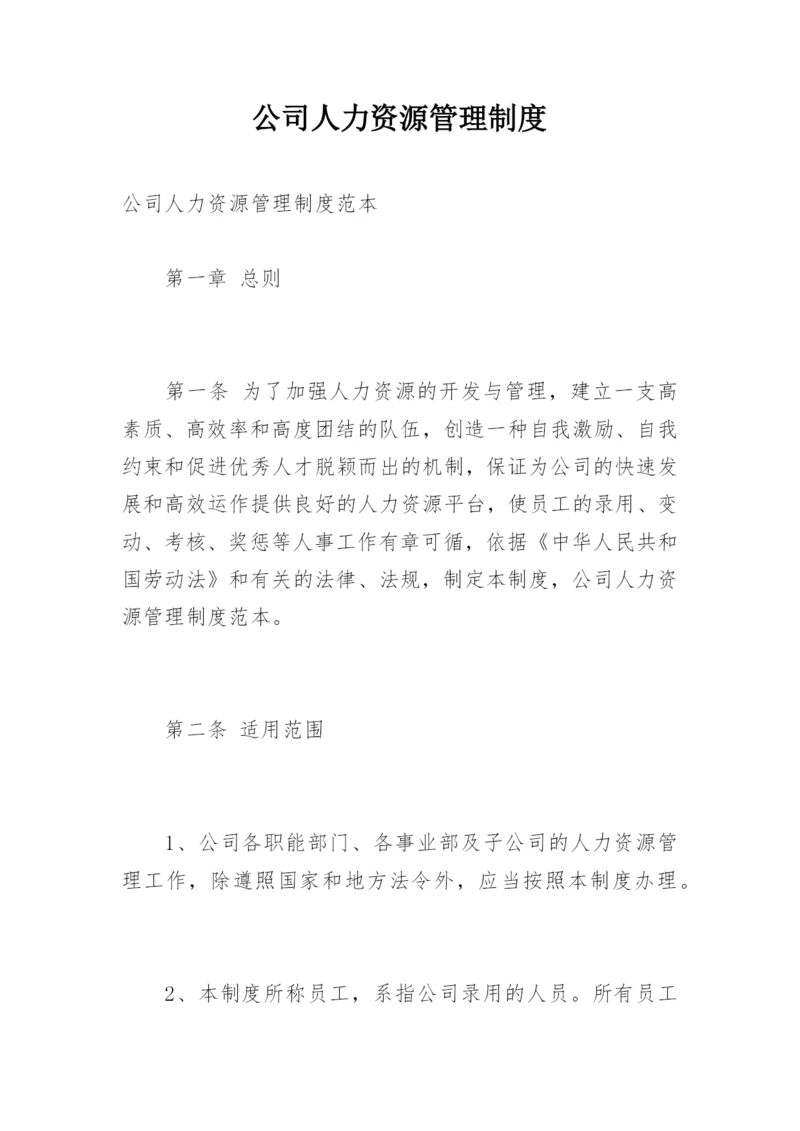 公司人力资源管理制度.docx