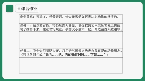 《猫》课件