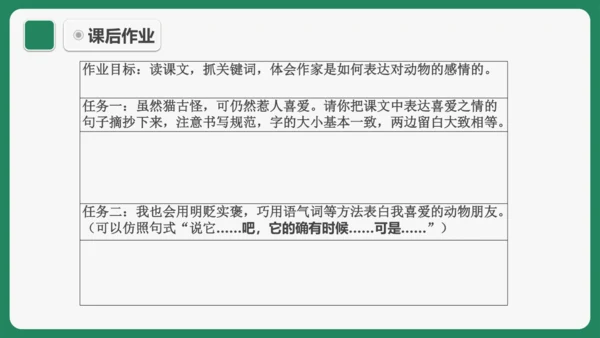 《猫》课件