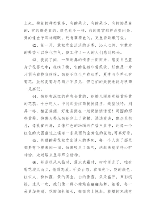 写菊花的优美句子.docx